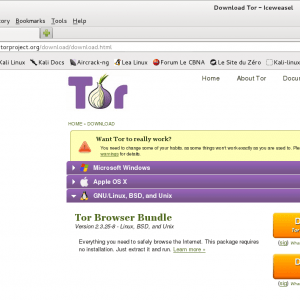 the tor browser bundle should not